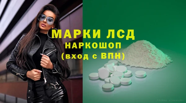 СК Алексин