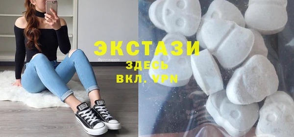 СК Алексин