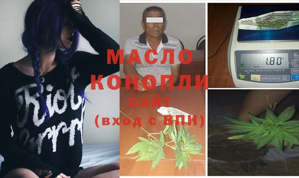 СК Алексин