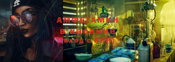 СК Алексин