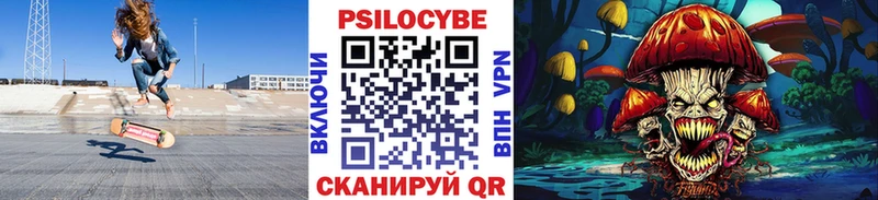 Псилоцибиновые грибы Psilocybe  Лукоянов 